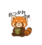 レッサーパンダ日常スタンプ第1弾改（個別スタンプ：2）