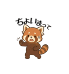 レッサーパンダ日常スタンプ第1弾改（個別スタンプ：10）