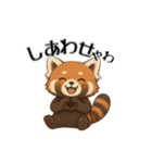 レッサーパンダ日常スタンプ第1弾改（個別スタンプ：13）
