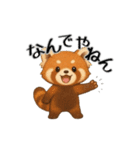 レッサーパンダ日常スタンプ第1弾改（個別スタンプ：14）