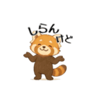 レッサーパンダ日常スタンプ第1弾改（個別スタンプ：15）
