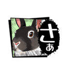 ウサウサしりとりPart5（個別スタンプ：17）