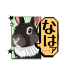 ウサウサしりとりPart5（個別スタンプ：30）
