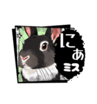ウサウサしりとりPart5（個別スタンプ：31）