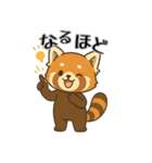 レッサーパンダ日常スタンプ第2弾（個別スタンプ：6）