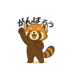レッサーパンダ日常スタンプ第2弾（個別スタンプ：12）