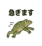 日本画風蛙スタンプ（個別スタンプ：13）