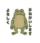 日本画風蛙スタンプ（個別スタンプ：17）