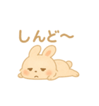 ゆるふわかわいいうさぎの日常スタンプ（個別スタンプ：12）