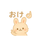 ゆるふわかわいいうさぎの日常スタンプ（個別スタンプ：13）