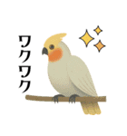 ハッピー鳥さんスタンプ 2（個別スタンプ：7）