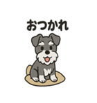 ミニチュアシュナウザーのスタンプ2（個別スタンプ：6）