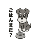ミニチュアシュナウザーのスタンプ2（個別スタンプ：9）