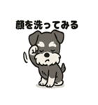 ミニチュアシュナウザーのスタンプ2（個別スタンプ：10）