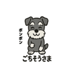 ミニチュアシュナウザーのスタンプ2（個別スタンプ：12）