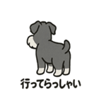 ミニチュアシュナウザーのスタンプ2（個別スタンプ：16）