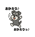 ミニチュアシュナウザーのスタンプ2（個別スタンプ：17）