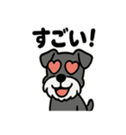 ミニチュアシュナウザーのスタンプ2（個別スタンプ：27）