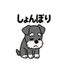 ミニチュアシュナウザーのスタンプ2（個別スタンプ：28）