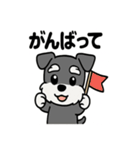 ミニチュアシュナウザーのスタンプ2（個別スタンプ：30）
