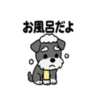 ミニチュアシュナウザーのスタンプ2（個別スタンプ：34）