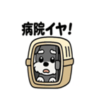 ミニチュアシュナウザーのスタンプ2（個別スタンプ：35）
