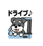 ミニチュアシュナウザーのスタンプ2（個別スタンプ：36）