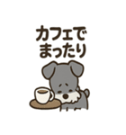 ミニチュアシュナウザーのスタンプ2（個別スタンプ：37）