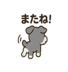ミニチュアシュナウザーのスタンプ2（個別スタンプ：39）