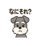 ミニチュアシュナウザーのスタンプ2（個別スタンプ：40）