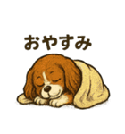愛くるしいキャバリアのスタンプ（個別スタンプ：2）