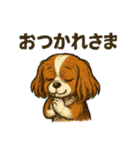 愛くるしいキャバリアのスタンプ（個別スタンプ：3）