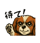 愛くるしいキャバリアのスタンプ（個別スタンプ：25）