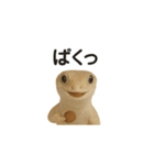 イモリの日常スタンプ（個別スタンプ：2）