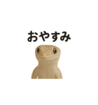 イモリの日常スタンプ（個別スタンプ：4）