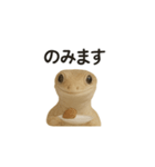 イモリの日常スタンプ（個別スタンプ：6）