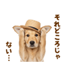 毎日つかえる♪ゴールデン子犬スタンプ（個別スタンプ：4）