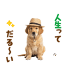 毎日つかえる♪ゴールデン子犬スタンプ（個別スタンプ：6）