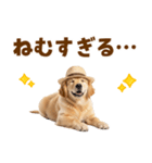 毎日つかえる♪ゴールデン子犬スタンプ（個別スタンプ：9）