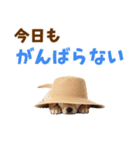 毎日つかえる♪ゴールデン子犬スタンプ（個別スタンプ：10）