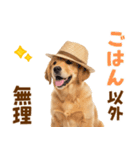 毎日つかえる♪ゴールデン子犬スタンプ（個別スタンプ：13）