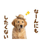 毎日つかえる♪ゴールデン子犬スタンプ（個別スタンプ：21）
