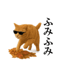 秋のサングラス猫♥ハロウィンやお月見（個別スタンプ：5）