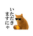 秋のサングラス猫♥ハロウィンやお月見（個別スタンプ：10）