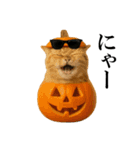 秋のサングラス猫♥ハロウィンやお月見（個別スタンプ：13）