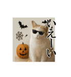 秋のサングラス猫♥ハロウィンやお月見（個別スタンプ：16）