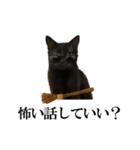 秋のサングラス猫♥ハロウィンやお月見（個別スタンプ：17）