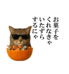 秋のサングラス猫♥ハロウィンやお月見（個別スタンプ：18）