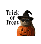 秋のサングラス猫♥ハロウィンやお月見（個別スタンプ：20）