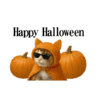 秋のサングラス猫♥ハロウィンやお月見（個別スタンプ：21）